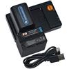 QIAO JIN LIN NP-QM91D Batteria al litio (2 pacchi) e caricatore doppio compatibile con Sony NP-QM91 e Sony CCD-TRV318 CCD-TRV328