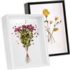 MENUY 2 Cornici 3D per Riempire A4, Porta Ricordi Profondo: Foto, Bouquet, Disegni, Souvenir, Creazioni Artigianali, Medaglie (29.7x21 cm, Bianco)