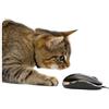 younikat Tappetino per mouse con motivo gatto I 24 x 19 cm I Tappetino per mouse di dimensioni standard, antiscivolo I per ragazze, adolescenti, donne I gatto topo I dv397