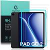 Ibywind Vetro Temperato per OnePlus Pad Go 2,2 Pezzi Durezza 9H PellicolaProtettiva con Facile da installare,Compatibile con ImpronteDigitali,Antigraffio,Senza Bolle