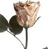 ROSEMARIE SCHULZ Heidelberg Rosa eterna oro con gambo - vera rosa conservata 30-35cm durata 3 anni scatola fiori - rosa durevole 50° anniversario nozze d'oro regali (Oro)