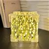 EONANT Tulip Specchio Luce notturna 20 fiori, cubo tulipano fiore mare luce notturna e specchio 2 in 1 camera da letto lampada da tavolo decorativa a LED, regali creativi per ragazze, amici (giallo)