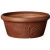 Arcadia Garden Products PSW TA25TC - Pentola per lampadine, 3,5 x 3,5 cm, in Terracotta