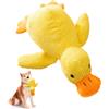 Hoadyush Paperella Giochi per Cani - Peluche per Cani Che Squittisce, Papera Peluche, Pupazzo Cane Indistruttibile per Cani di Piccola, Media, Grande Taglia (M)