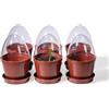 Kimmel Vasi da coltivare con cupola/coperchio, 6 pezzi, colore marrone