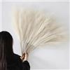 YiYa 12 Pcs Erba di Pampa Decorativa 113cm Decorazione Pampas Secca Grande Fiori Secchi Decorativi per Vaso per Soggiorno, Casa, Pavimento, Vaso, Decorazione Boemia (Beige-12pcs)