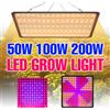 NONE 200W Spettro Completo LED Pianta Coltiva La Luce Quantum Board Lampada di Riempimento Serra Tenda Verdura Coltivazione di Fiori Illuminazione Spina USA/UE