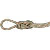 Mammut 9.5 Gym Classic Rope | Attrezzatura da Arrampicata, Robusta e Durevole | 50 m, Boa-White