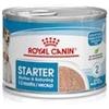 ROYAL CANIN ITALIA SpA SHN WET STARTER MOTHER&BB 195G