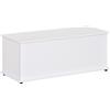 Easycomfort Panca Contenitore Multiuso in Legno Truciolare con Coperchio Apribile, per Camera e Ingresso, 100x40x40cm, Bianco