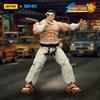 Joy Toy The King Of Fighters '98 Hero Team Goro Daimon
