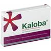 Dr. Willmar Kaloba Cura Del Raffreddore 21 Compresse