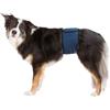 Trixie Pannolini per cani maschi lavabili blu scuro tg. XL