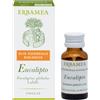 Erbamea Eucalipto Olio Essenziale Biologico 10ml