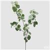 EDG Enzo De Gasperi Ramo eucalipto H 110 Cm Verde