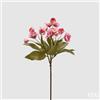 EDG Enzo De Gasperi Ramo Elleboro H 57 Cm Rosa Pesca