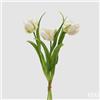 EDG Enzo De Gasperi Bouquete Tulipano Parrot X3 H 40 Cm con Bocciolo Bianco