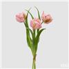 EDG Enzo De Gasperi Bouquete Tulipano Parrot X3 H 40 Cm con Bocciolo Rosa Crema