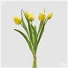 EDG Enzo De Gasperi Bouquete Tulipano Chiuso X4 H 40 Cm con Bocciolo Giallo