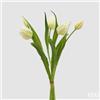 EDG Enzo De Gasperi Bouquete Tulipano Chiuso X4 H 40 Cm con Bocciolo Bianco Verde