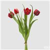 EDG Enzo De Gasperi Bouquete Tulipano Chiuso X4 H 40 Cm con Bocciolo Rosso Grenat