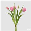 EDG Enzo De Gasperi Bouquete Tulipano Chiuso X4 H 40 Cm con Bocciolo Rosa Scuro