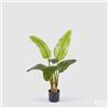 EDG Enzo De Gasperi Banano con Vaso Pianta Artificiale H 90 Cm Verde