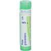 Boiron Ruta Graveolens Boiron Ruta graveolens*5ch 80gr 4g