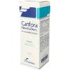 New Fa.dem. Canfora New Fa.dem. Canfora*10% sol ial 100ml