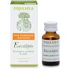Erbamea Eucalipto Olio Essenziale, 10ml