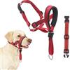 LUFFLOK Collare per Cani con Imbottitura Morbida Imbracatura per Anti-tiro | Collare per Cani Regolabile e Riflettente, Collari Anti-morso Collare Addestramento Cani (Rosso, L)