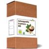 Forlive Ashwagandha In Polvere Bio 250 Grammi
