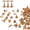QUARKZMAN 60 Set Rivetti in Pelle Doppia Cappuccio, 8x10mm Tondo Rivetto Tubolari a Vite per Cuoio Chicago Metallo per Pelle Cintura Tessuto Borsa Riparazione Decorazione, Oro Chiaro