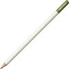Tombow Matita colorata IROJITEN | Colore sage green | mina a base di cera di alta qualità con elevata brillantezza | Matita colorata per artisti professionisti e hobby [CI-RDL4], 1 pezzo (1 confezione