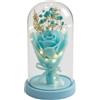 ENERGY GROUP ONLINE Rosa Eterna con Luci LED sotto Cupola - Idea Regalo Romantica per San Valentino, Anniversario, Festa della Mamma - Decorazione Elegante per Casa,Regalo (ROSA BLU CIELO)