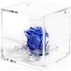 DC DEBORA CARLUCCI Debora Carlucci Rosa Stabilizzata Vera Eterna con 4 Petali in Cubo 8x8 cm Idea Regalo Festa della Mamma Donna Bomboniera Compleanno Anniversario Matrimonio Blu Bianco Rosa Rossa (Blu)
