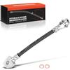 Frankberg Tubo Freno Tubo Freno idraulico Compatibile con Grand Cherokee II WG WJ 2.7 CRD 4x4 3.1 TD 4x4 4.7 V8 4x4 4.0 4x4 1999-2005 Replace# 2202966,H381142