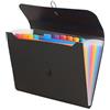 Ylinwtech Cartella 13 tasche formato A4,Cartella portadocumenti espandibile A4,Porta documenti fisarmonica,Adatto per uffici,scuole e abitazioni