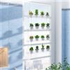 OtNiap Mensola trasparente da appendere alla finestra, per interni, da appendere alla parete, per esporre vasi di fiori, organizer per coltivare erbe, microgreens, piante grasse, fiori (4 strati)