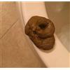 Gammaeon Fake Poopy, Brown Realistic Fake Poop, Novelty Floating Fake Poop for April Fools' Day Prank, Gag and Practical Joke