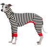 ESCCBOO Tutina da levriero italiano, camicia a collo alto a righe per cuccioli di Whippet, camicia leggera e sottile per primavera ed estate (XXL)