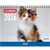 Dohe - Calendario 2026 Desktop - Vista mese, 12 mesi da gennaio a dicembre, dimensioni 21 x 15 cm, pianificazione mensile e annuale con spazio per note - Gatti