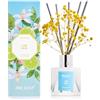 Airkeep Profumatore per Ambienti Lime Basil, Profumatore per Ambienti con 8 Bastoncini di Fragranza, Diffusore di Fragranze per Bagno, Appartamento, Decorazione Della Casa, 100ml