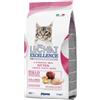 MONGE & C. SpA LECHAT EXC KITTEN