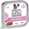 MONGE & C. SpA SPECIAL DOG 100% MAI PATE' MP