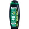 CONTER Srl VIDAL DOCCIA NEW MINT&GIN250ML