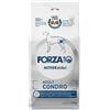 SANYPET SpA F10 DOG CONDRO 10KG