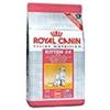 ROYAL CANIN ITALIA SpA FHN SECOND AGE KITTEN 2KG