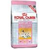 ROYAL CANIN ITALIA SpA FHN MOTHER & BABYCAT 400G