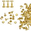 QUARKZMAN 60 Set Rivetti in Pelle Doppia Cappuccio, 6x8mm Tondo Rivetto Tubolari a Vite per Cuoio Chicago Metallo per Pelle Cintura Tessuto Collare Borsa Riparazione Decorazione, Oro